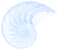 ITeVia Solutions nautilus mark